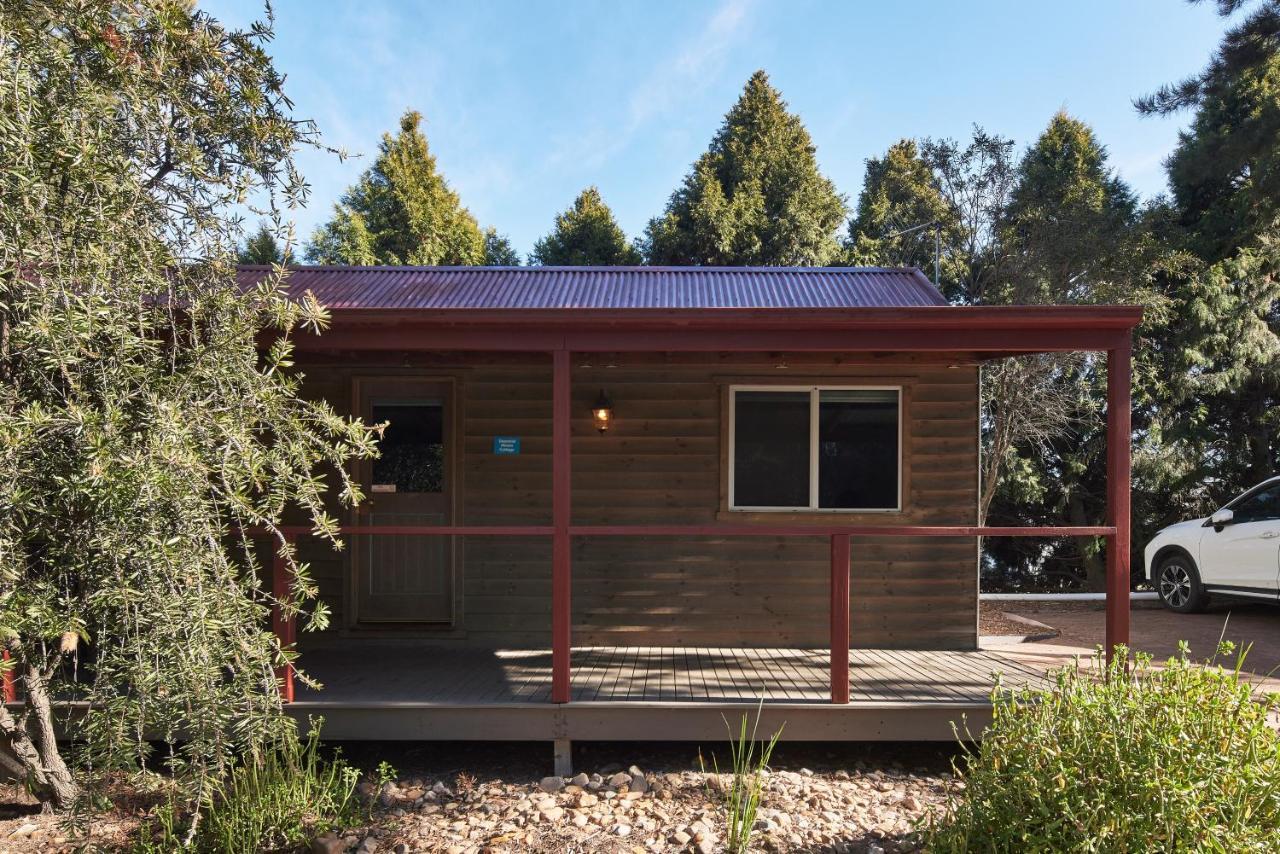 Nrma Bathurst Panorama Holiday Park المظهر الخارجي الصورة